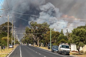 Crib Point Fire 2 006